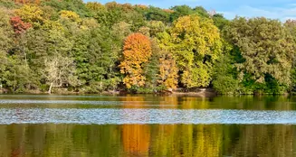 von_poll_real_estate_property_25213018_image_13