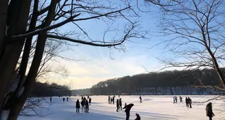 von_poll_real_estate_property_25213018_image_14