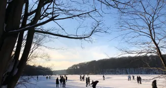 von_poll_real_estate_property_25213018_image_14