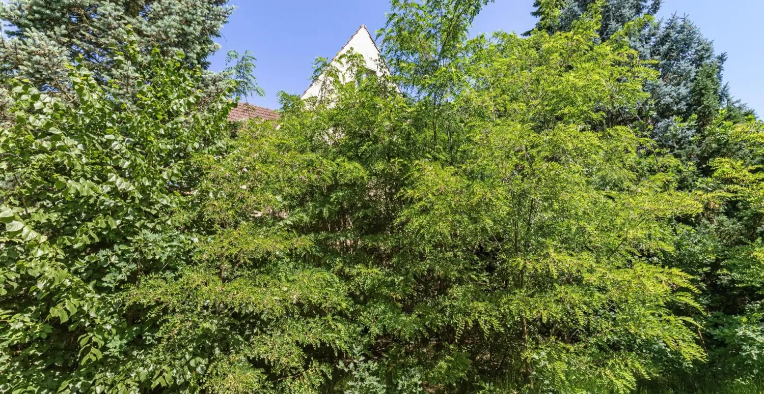 Grundstück mit Entwicklungspotenzial in gefragter Lage