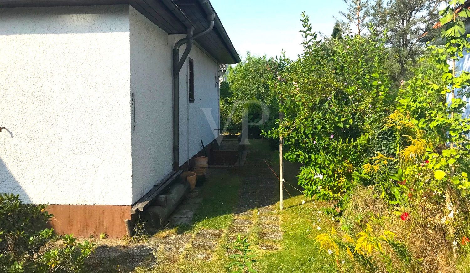 Blick seitlich nach rechts hinten