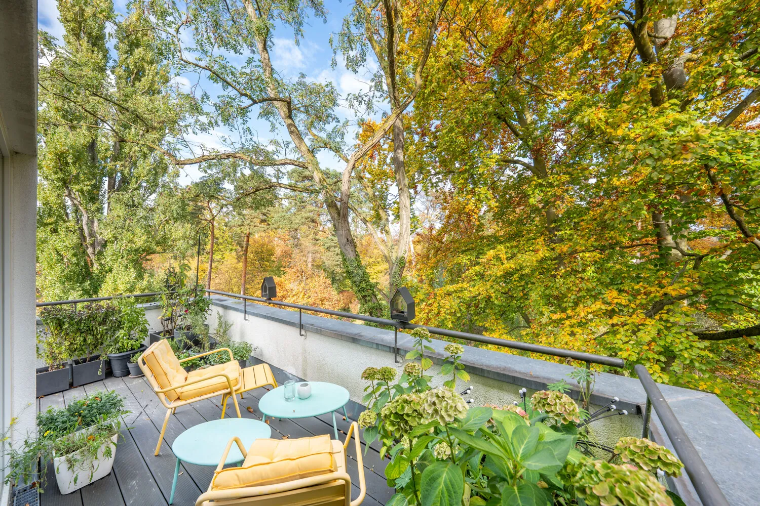 Wunderbares Refugium mit Blick in die Bäume