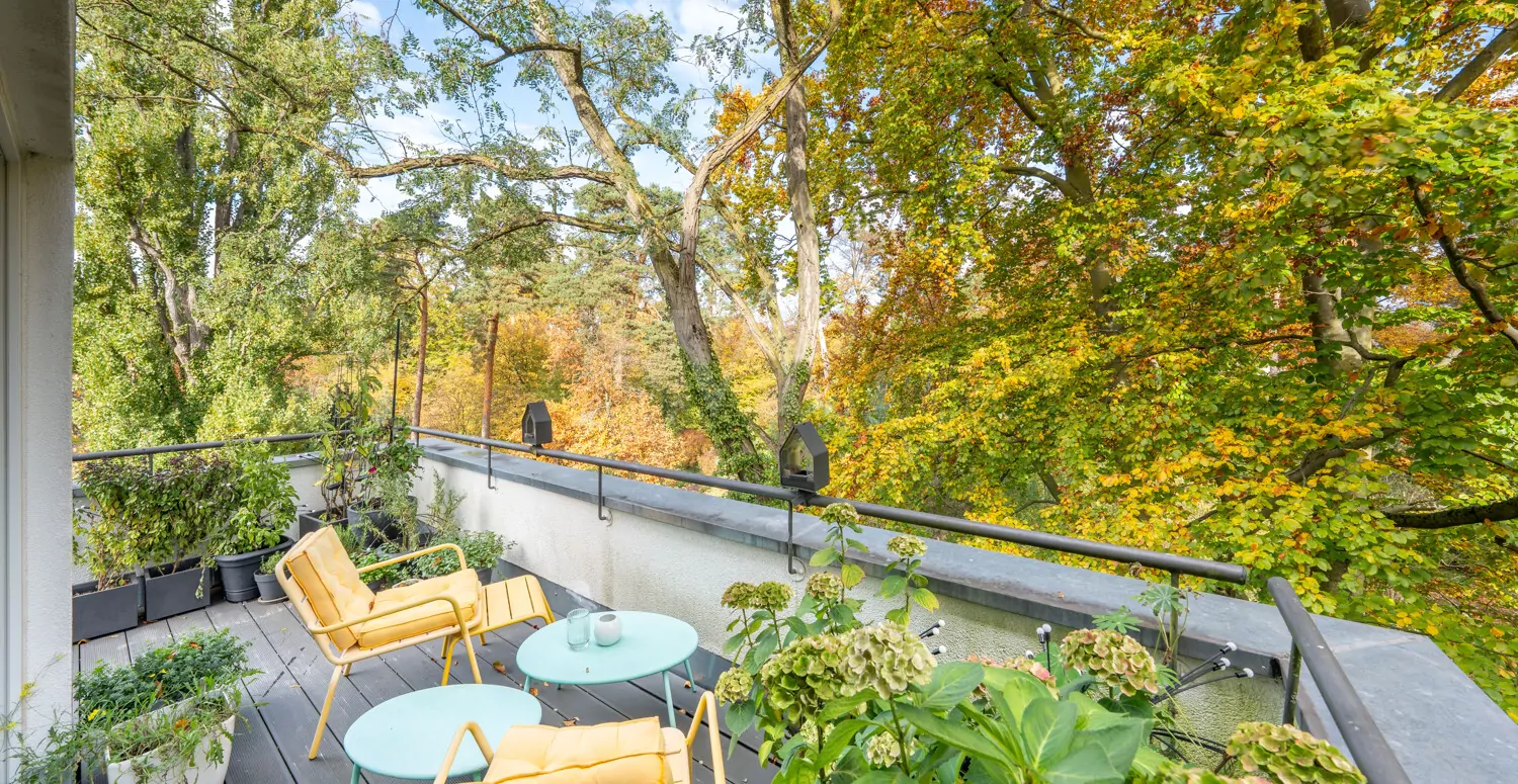 Wunderbares Refugium mit Blick in die Bäume