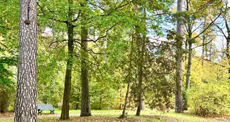 von_poll_real_estate_property_25178022_image_19