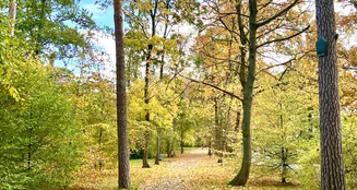 von_poll_real_estate_property_25178022_image_21