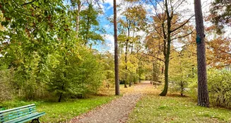 von_poll_real_estate_property_25178022_image_20