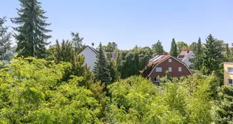 von_poll_real_estate_property_25331044_image_4