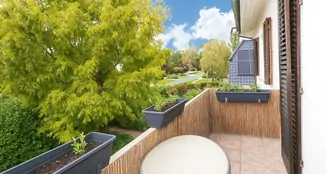 von_poll_real_estate_property_25331052_image_14