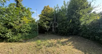 von_poll_real_estate_property_25213029_image_3