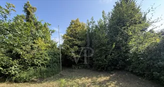 von_poll_real_estate_property_25213029_image_0