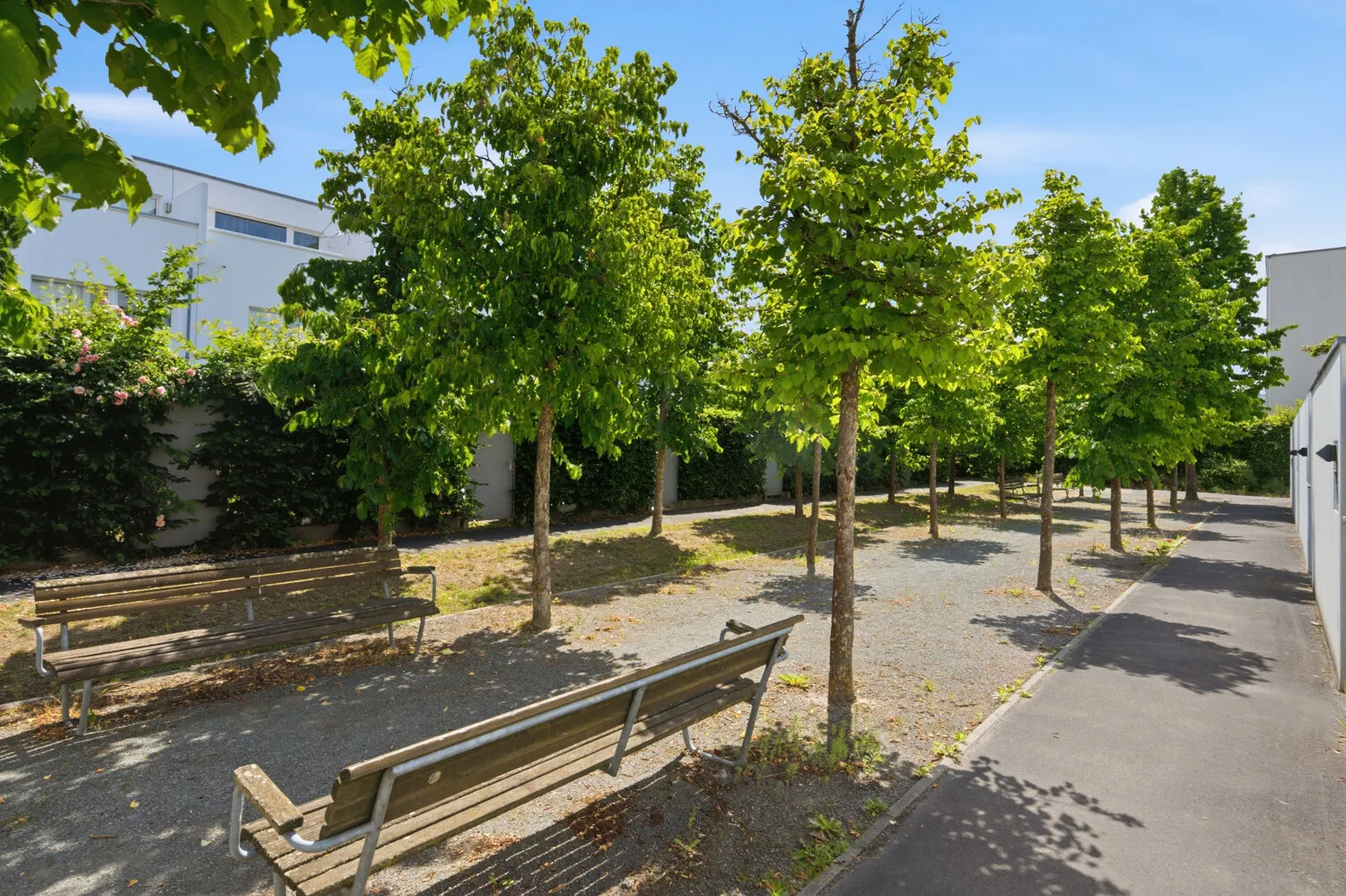 Familienfreundliches Reihenhaus in familiärer Lichterfelder Lage mit Stellplatz und zwei Terrassen