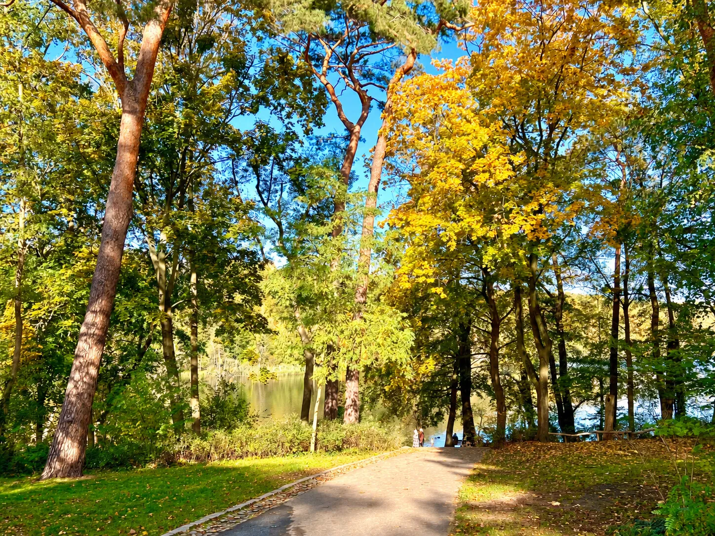Weg zum Schlachtensee