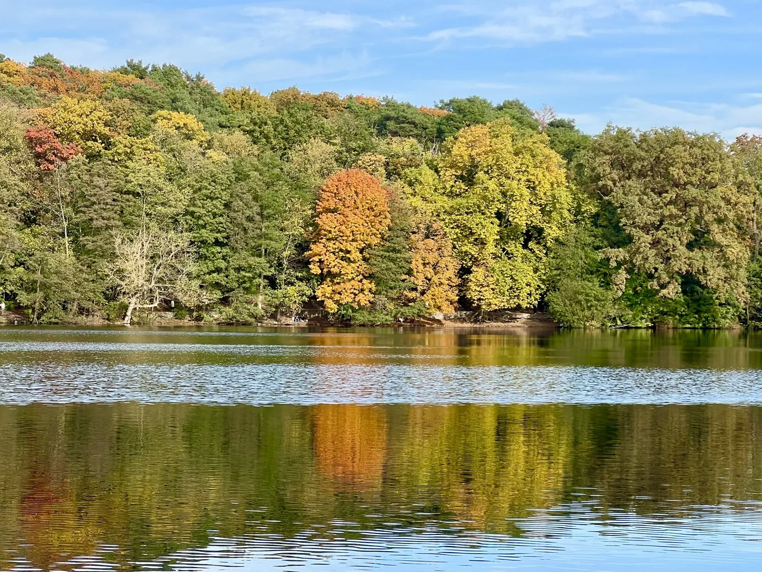 Der Schlachtensee
