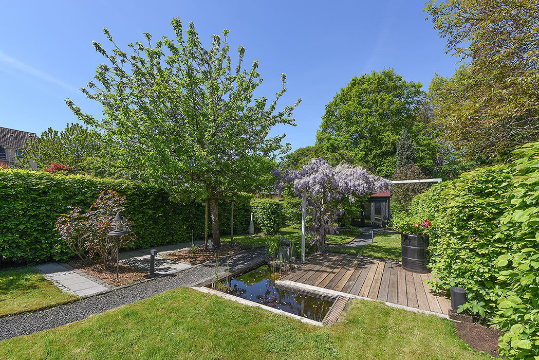 Garten / Terrasse