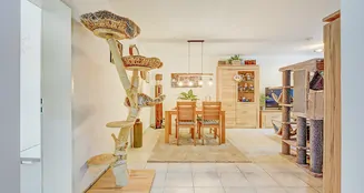 von_poll_real_estate_property_25227477_image_7