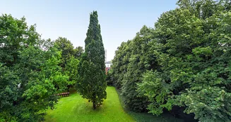 von_poll_real_estate_property_25227490_image_10