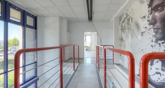 von_poll_real_estate_property_25227484_image_5