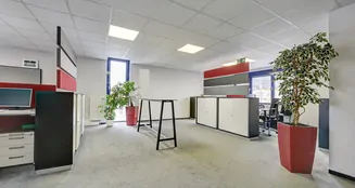 von_poll_real_estate_property_25227484_image_7