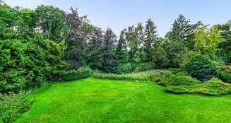 von_poll_real_estate_property_25227493_image_8