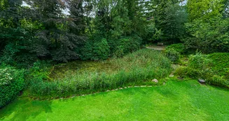 von_poll_real_estate_property_25227493_image_9