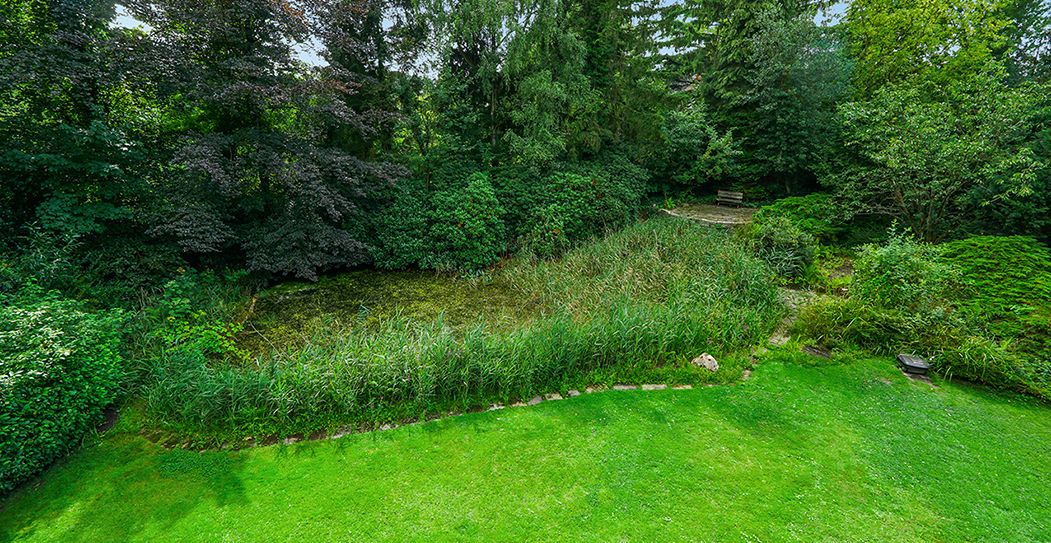 Garten / Teich