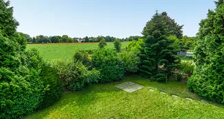 von_poll_real_estate_property_25227497_image_14