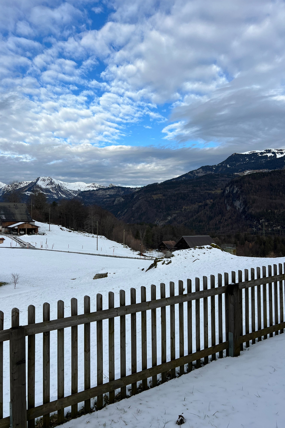 Blick vom Garten