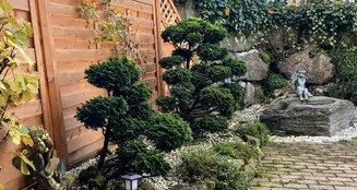 von_poll_real_estate_property_CH25267327_image_20