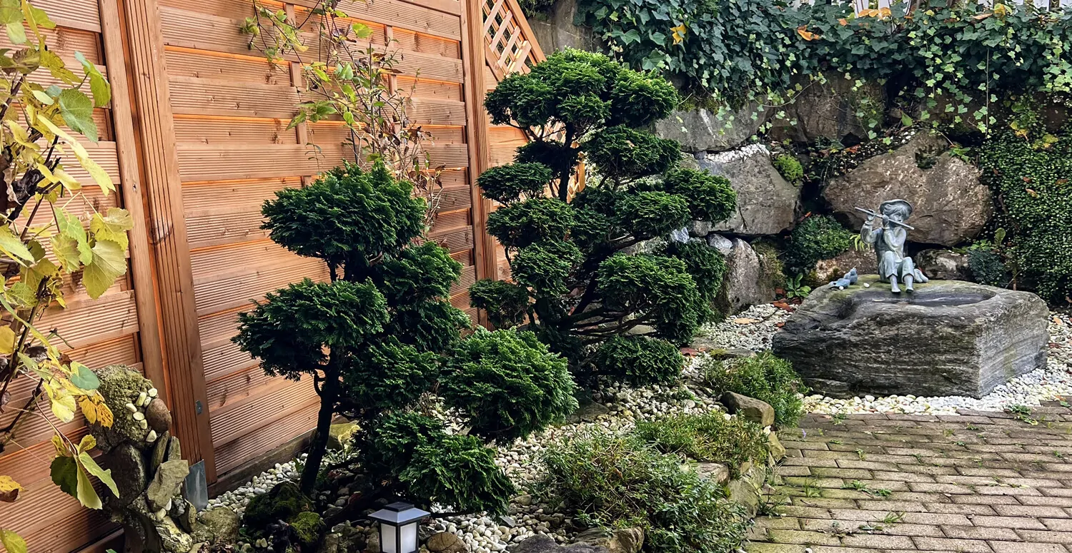 Aussenbereich Pflanzen