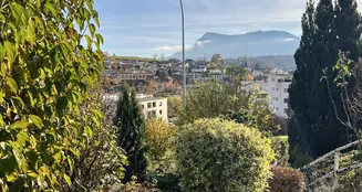 von_poll_real_estate_property_CH25267327_image_22