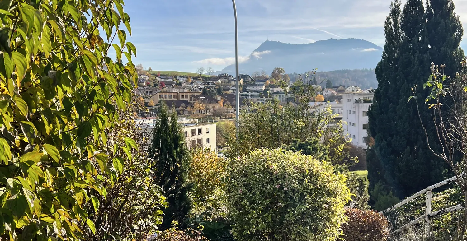 Blick zur Rigi vom Garten