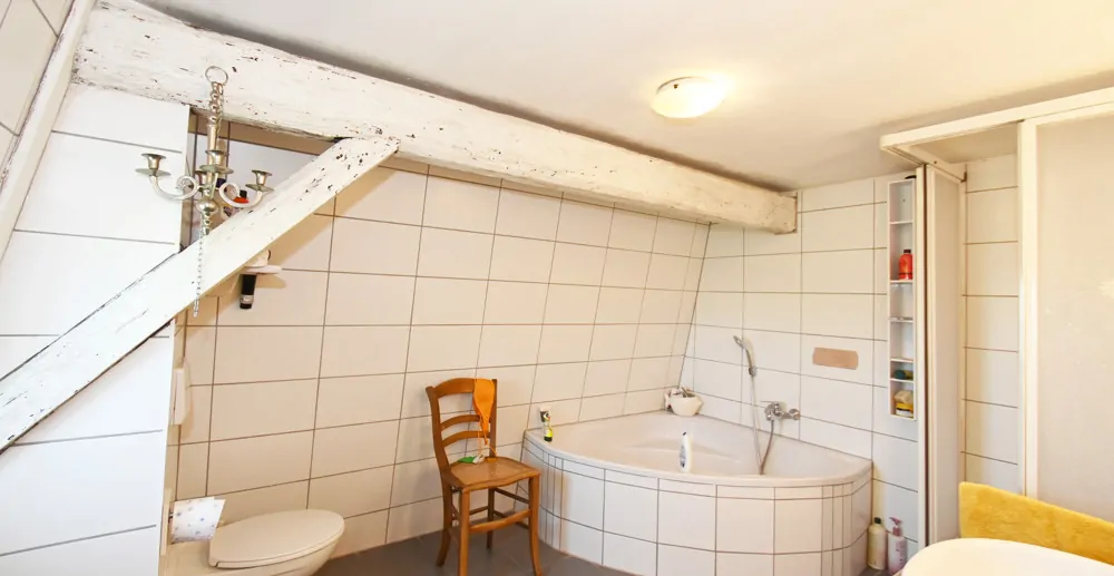 Schloss Alsheim sucht neuen Eigentümer!