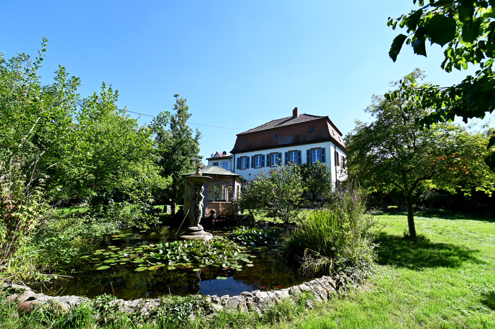 Schloss Alsheim sucht neuen Eigentümer!