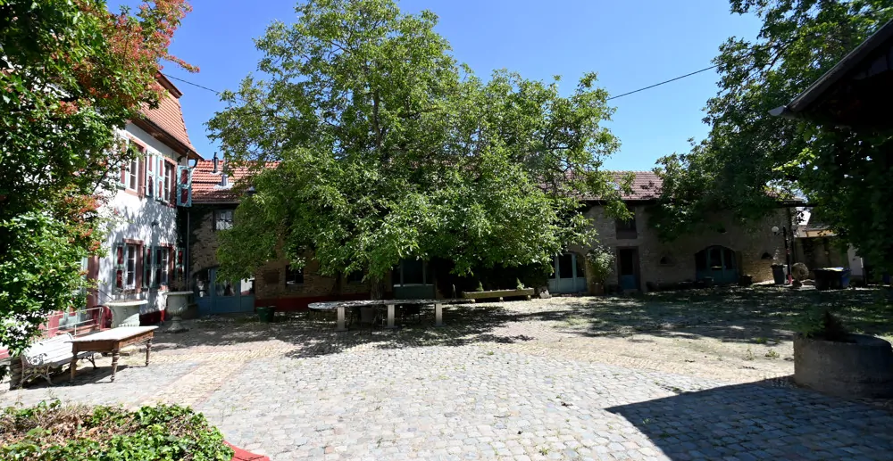 Schloss Alsheim sucht neuen Eigentümer!