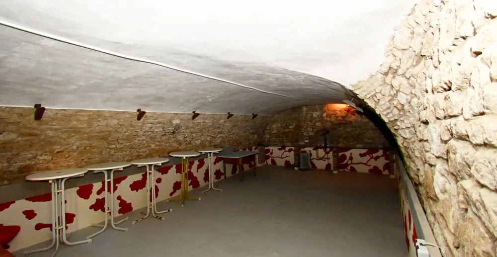 Schloss Alsheim sucht neuen Eigentümer!