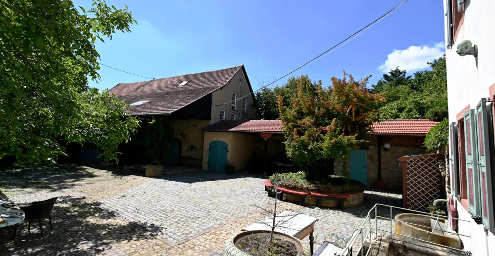 Schloss Alsheim sucht neuen Eigentümer!