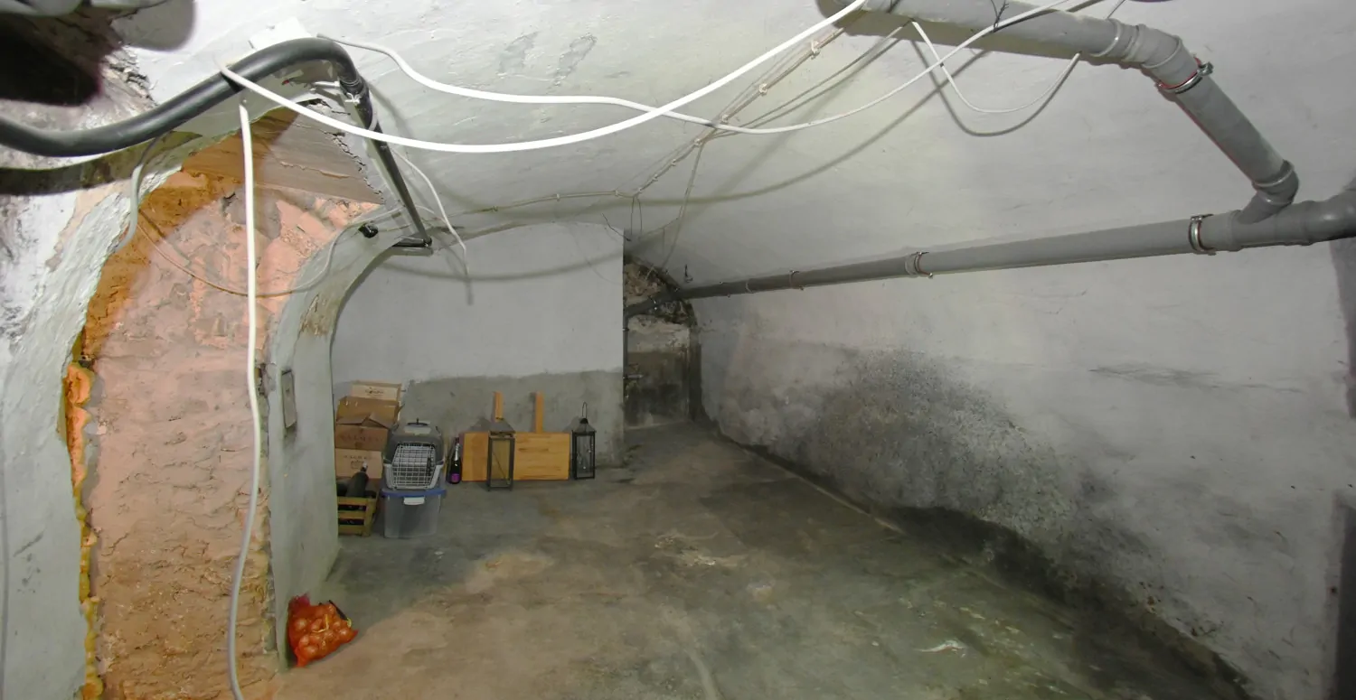 Vielseitiges Familienanwesen mit Gewerbeoption und ELW zur Erfüllung Ihrer Wohnwünsche!