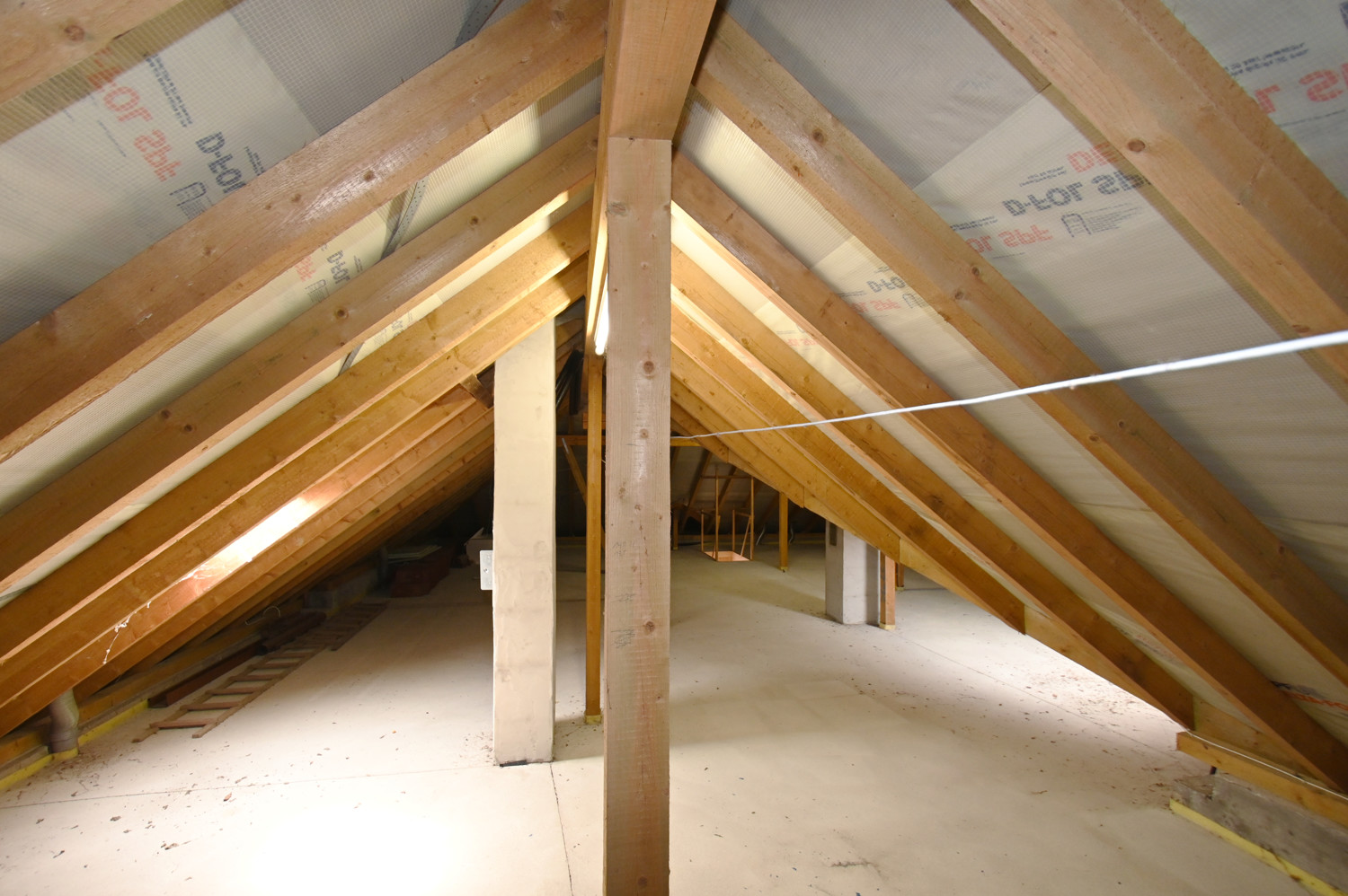 Anspruchsvolle Architektur in ruhige Lage mit ELW , Solaranlage und zwei innenliegenden Garagen!