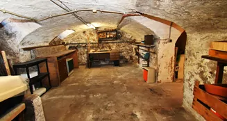 von_poll_real_estate_property_25154020_image_8