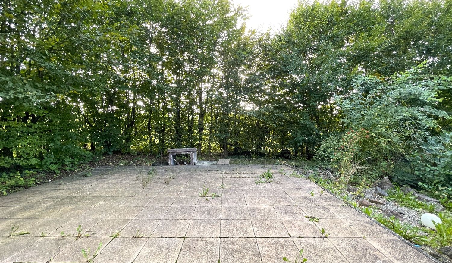 große Terrasse mit Potenzial