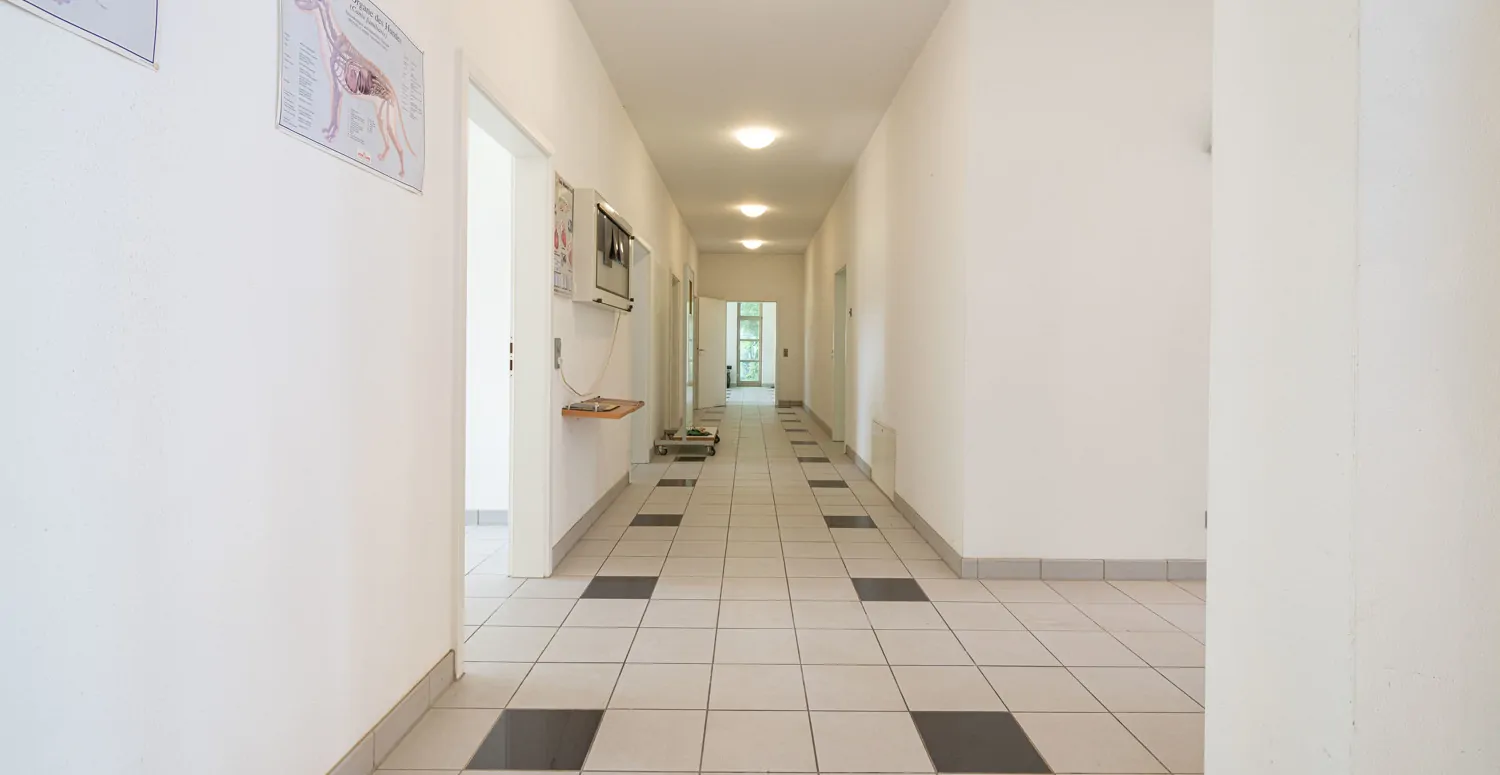 klare Struktur und vielseitiger Grundriss