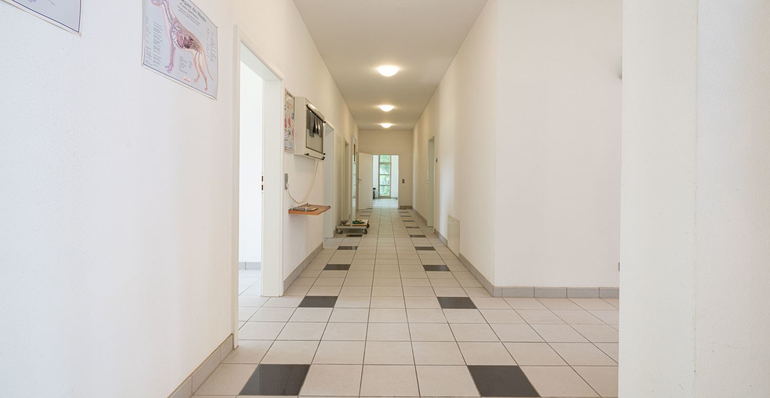 klare Struktur und vielseitiger Grundriss