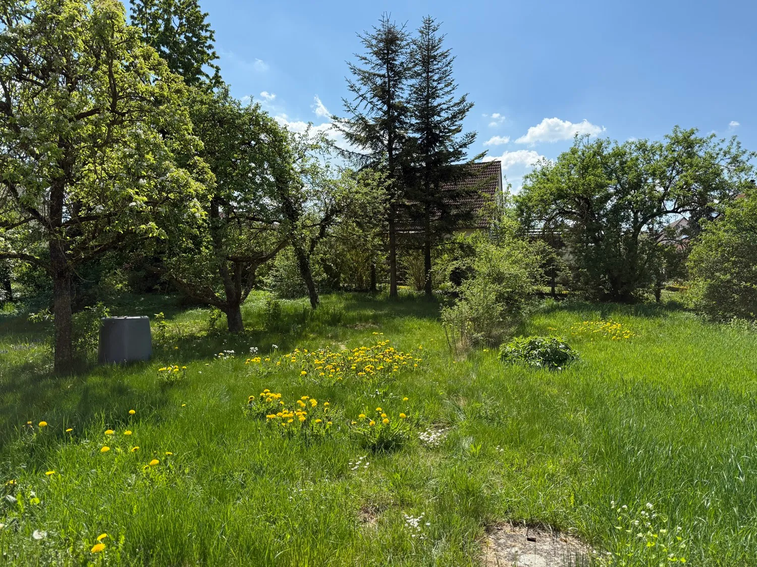 großzügiges Grundstück