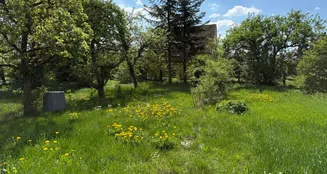 von_poll_real_estate_property_25248007_image_18