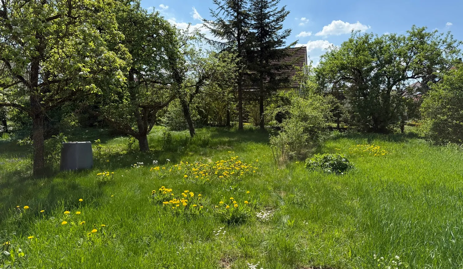 großzügiges Grundstück