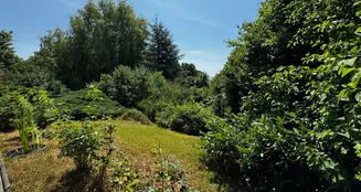 von_poll_real_estate_property_25248028_image_26