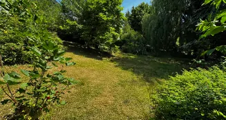 von_poll_real_estate_property_25248028_image_27