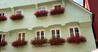 von_poll_real_estate_property_25248042_image_0