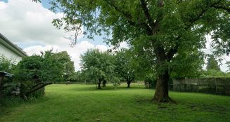 von_poll_real_estate_property_25248061_image_14