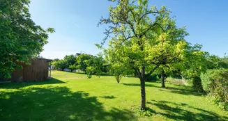 von_poll_real_estate_property_25248058_image_3